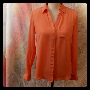 Sheer long sleeved blouse